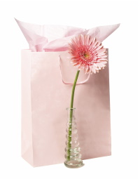 small-bag.jpg